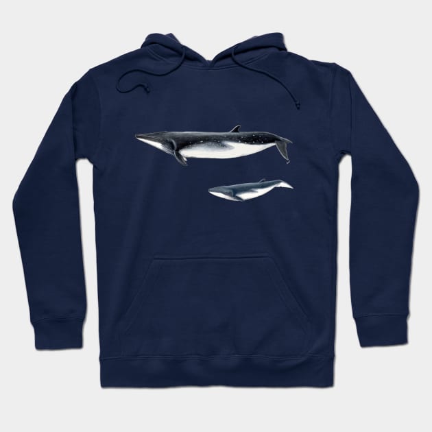 Bryde´s whale with baby whale Hoodie by chloeyzoard